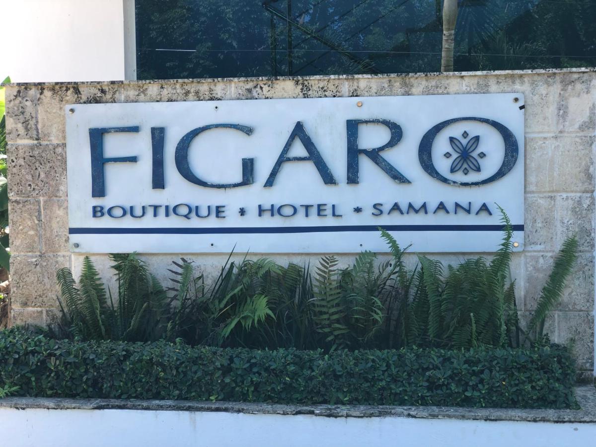 Figaro Hotel Samana المظهر الخارجي الصورة