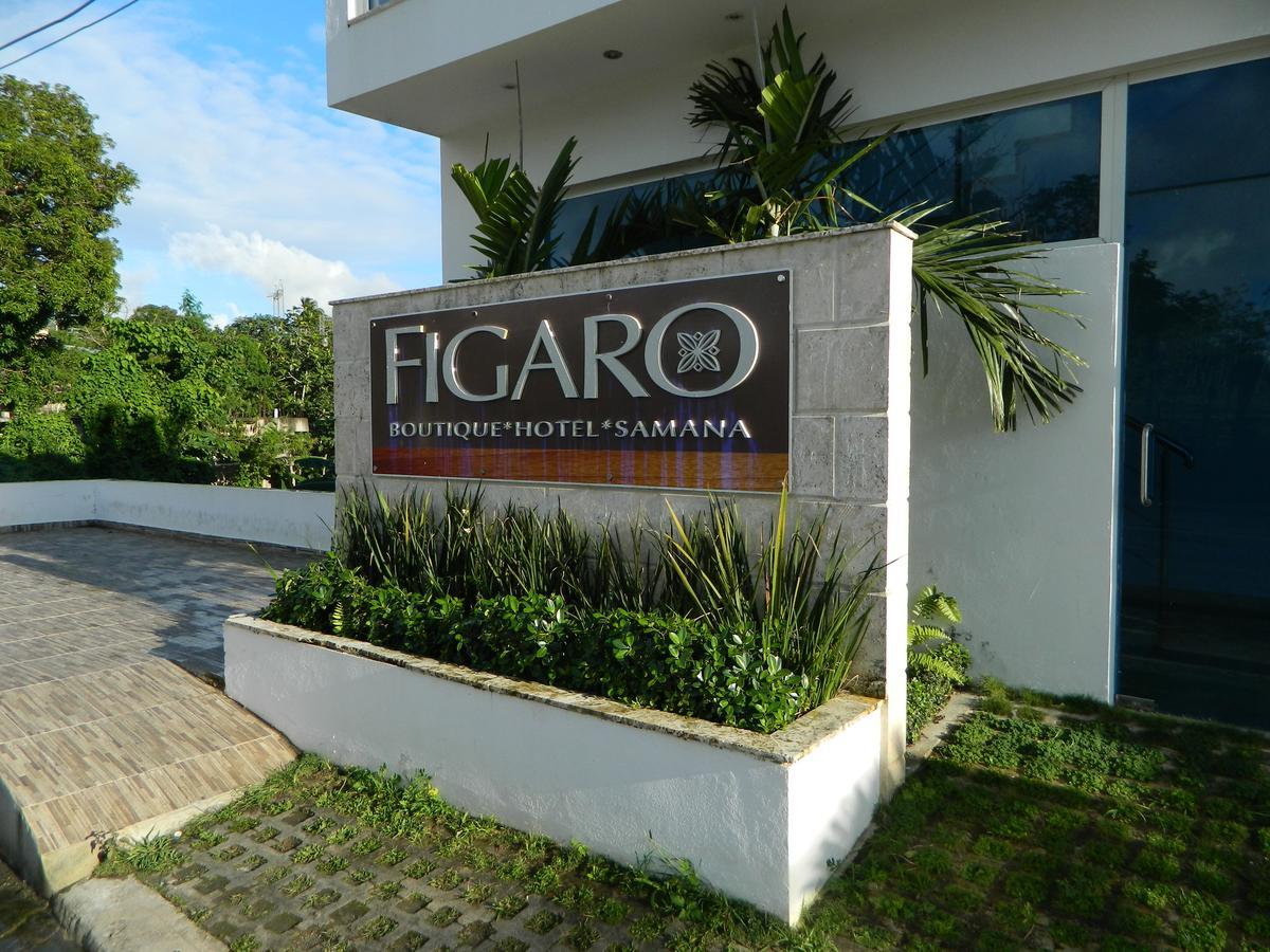 Figaro Hotel Samana المظهر الخارجي الصورة