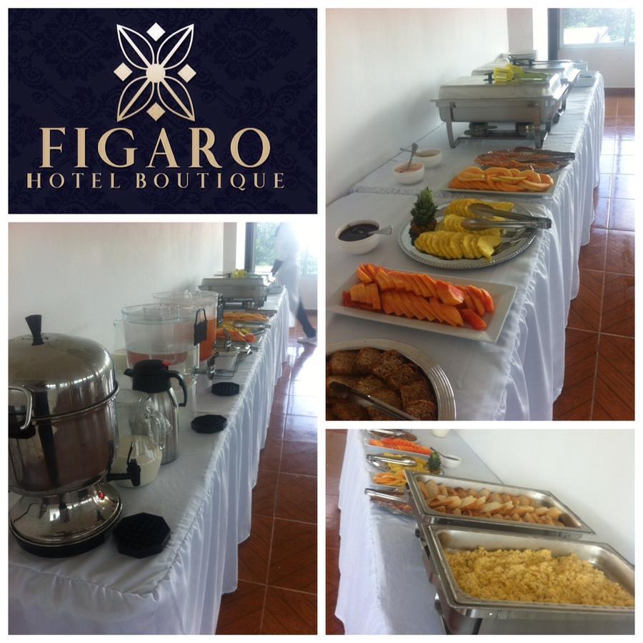 Figaro Hotel Samana المظهر الخارجي الصورة